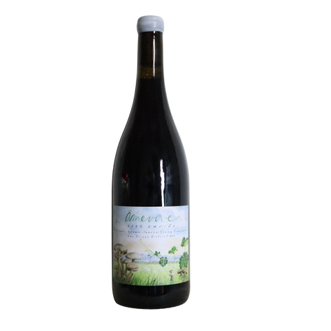 2022 Âmevive "Carino" Tempranillo, Ibarra-Young Vineyard, Los Olivos District, CA