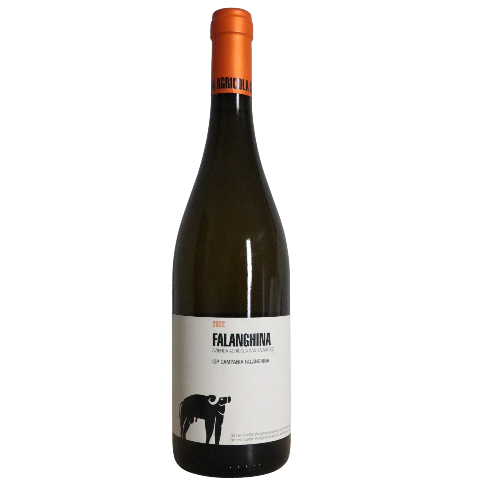 2022 San Salvatore Falanghina, Campania, Italy